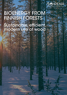 Bioenergy from Finnish forests: sustainable, efficient, modern use of wood